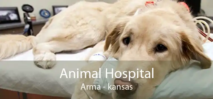 Animal Hospital Arma - kansas