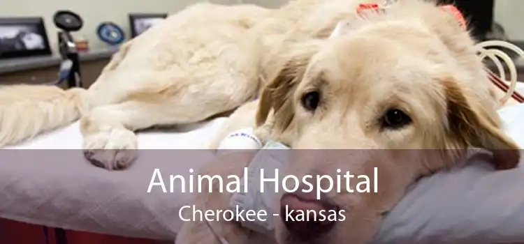 Animal Hospital Cherokee - kansas
