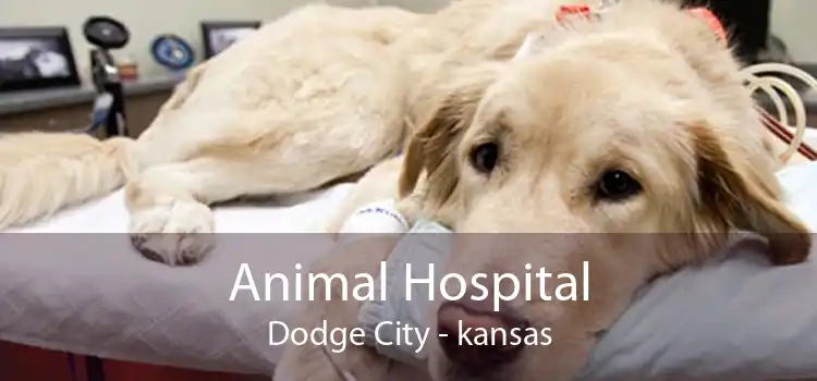 Animal Hospital Dodge City - kansas