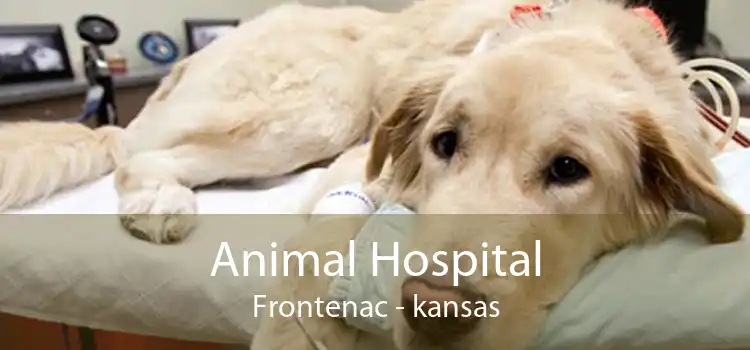 Animal Hospital Frontenac - kansas