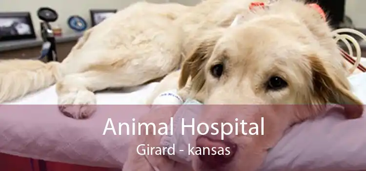 Animal Hospital Girard - kansas