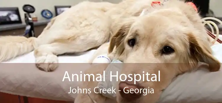 Animal Hospital Johns Creek - Georgia