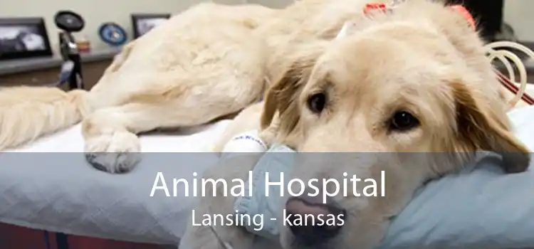Animal Hospital Lansing - kansas