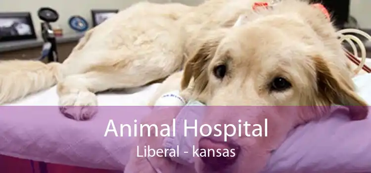 Animal Hospital Liberal - kansas