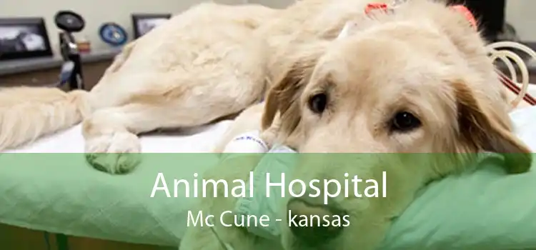 Animal Hospital Mc Cune - kansas