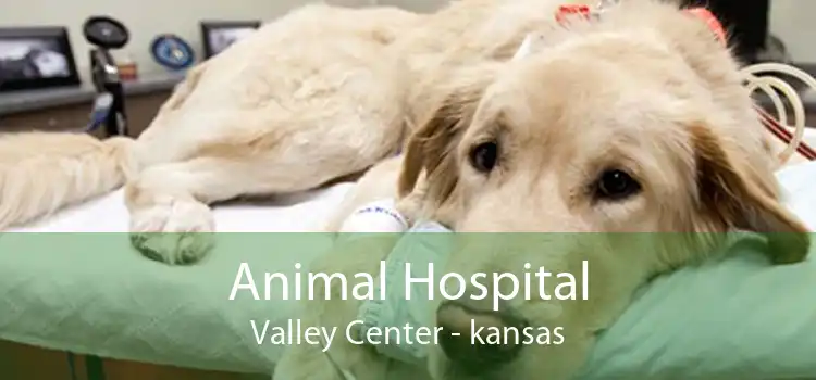 Animal Hospital Valley Center - kansas