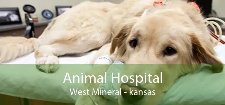 Animal Hospital West Mineral - kansas