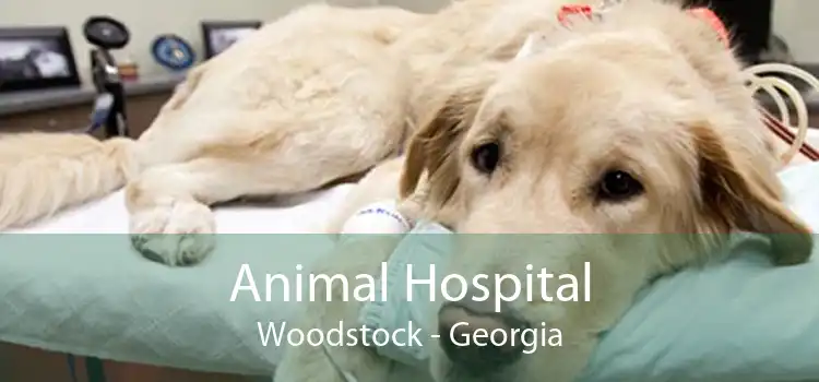 Animal Hospital Woodstock - Georgia