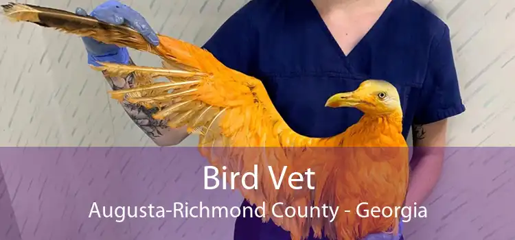 Bird Vet Augusta-Richmond County - Georgia