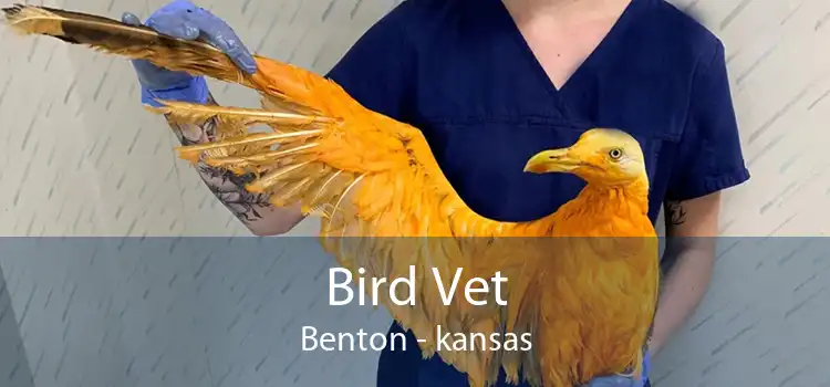 Bird Vet Benton - kansas