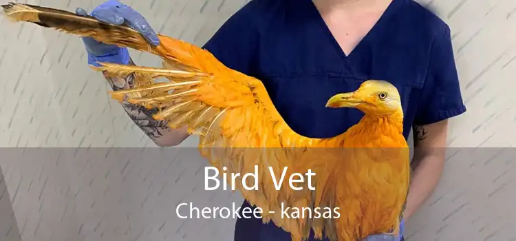Bird Vet Cherokee - kansas