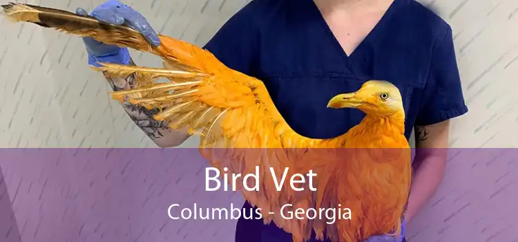 Bird Vet Columbus - Georgia