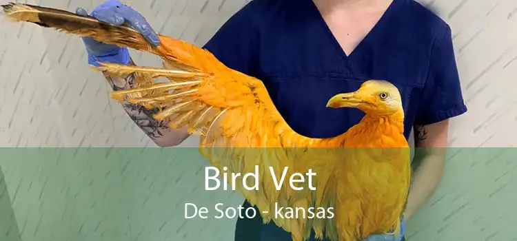 Bird Vet De Soto - kansas