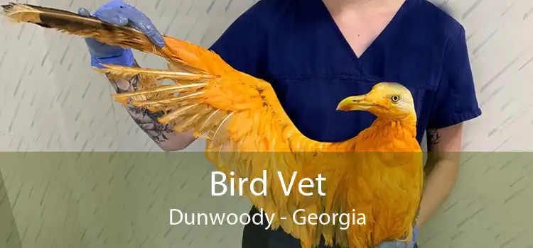 Bird Vet Dunwoody - Georgia