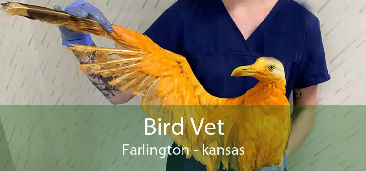 Bird Vet Farlington - kansas
