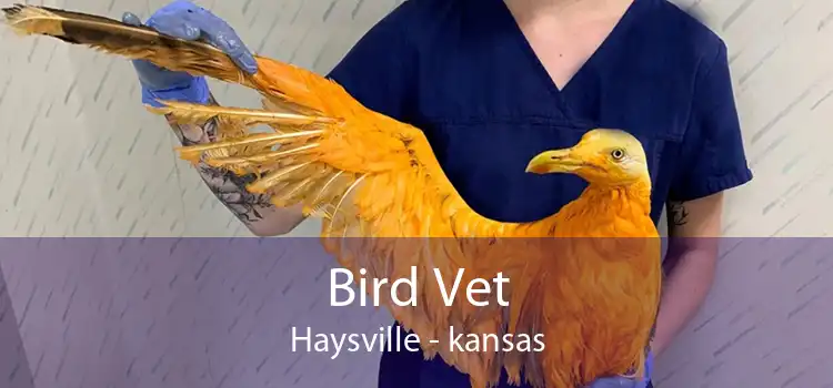 Bird Vet Haysville - kansas