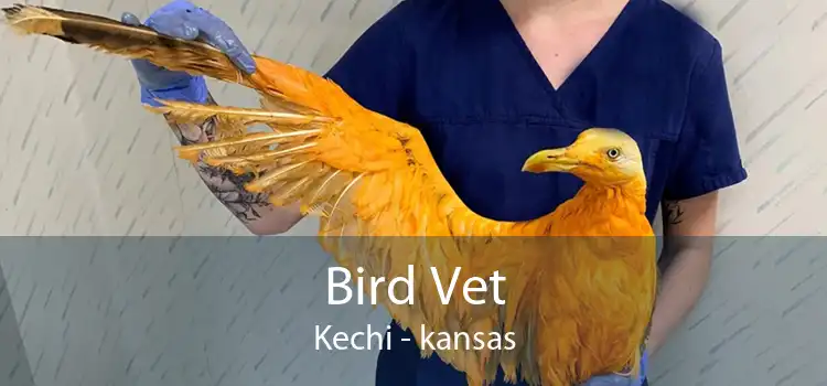 Bird Vet Kechi - kansas