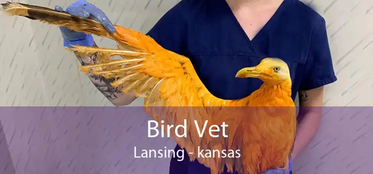 Bird Vet Lansing - kansas
