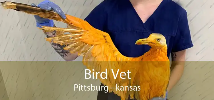 Bird Vet Pittsburg - kansas