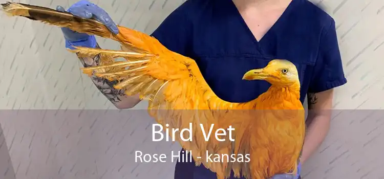 Bird Vet Rose Hill - kansas
