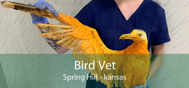 Bird Vet Spring Hill - kansas