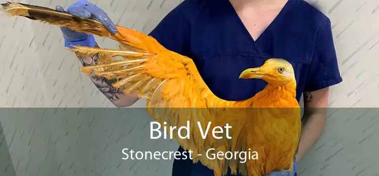 Bird Vet Stonecrest - Georgia