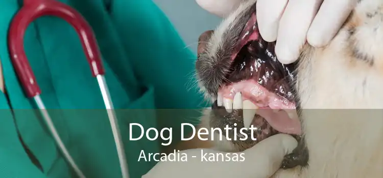 Dog Dentist Arcadia - kansas