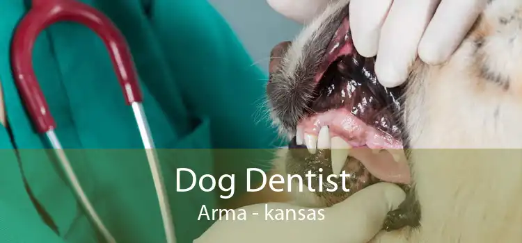 Dog Dentist Arma - kansas