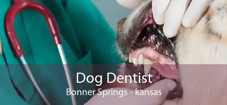 Dog Dentist Bonner Springs - kansas