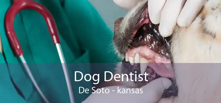 Dog Dentist De Soto - kansas