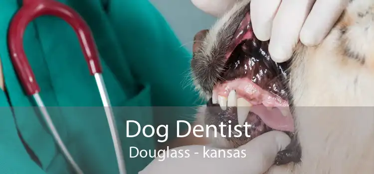 Dog Dentist Douglass - kansas