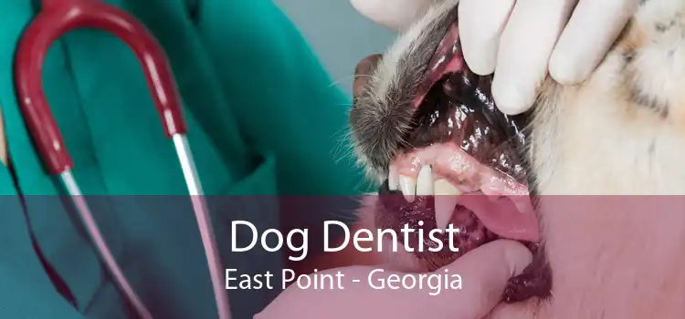 Dog Dentist East Point - Georgia