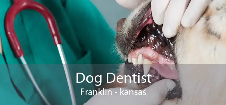 Dog Dentist Franklin - kansas
