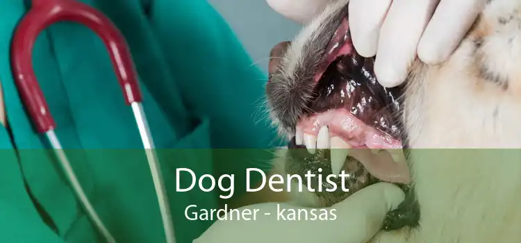 Dog Dentist Gardner - kansas