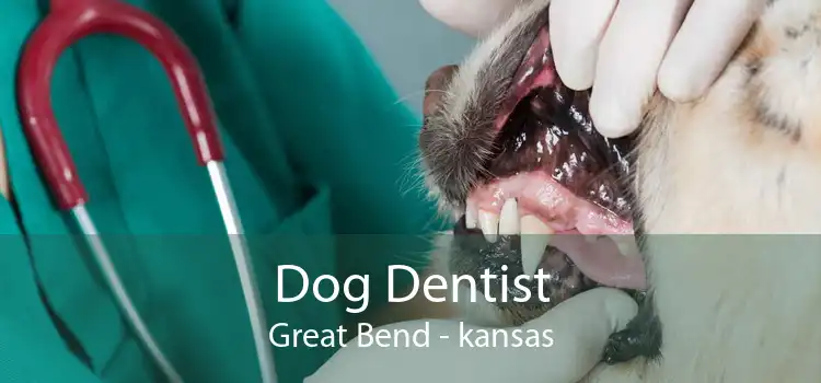 Dog Dentist Great Bend - kansas