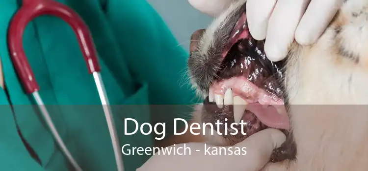 Dog Dentist Greenwich - kansas