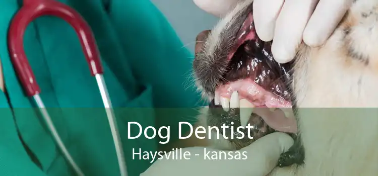 Dog Dentist Haysville - kansas