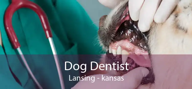 Dog Dentist Lansing - kansas