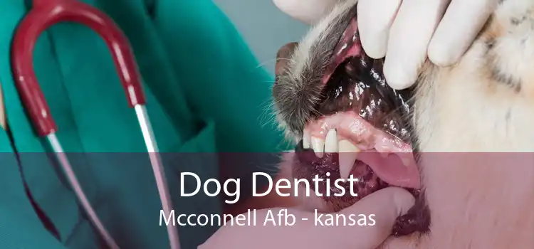 Dog Dentist Mcconnell Afb - kansas
