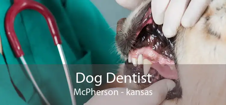 Dog Dentist McPherson - kansas