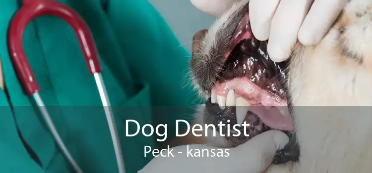 Dog Dentist Peck - kansas