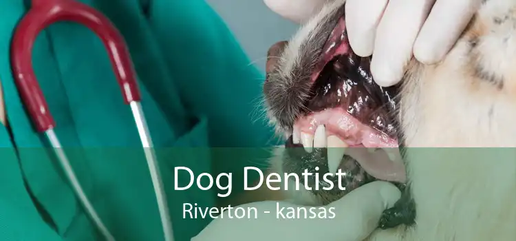Dog Dentist Riverton - kansas