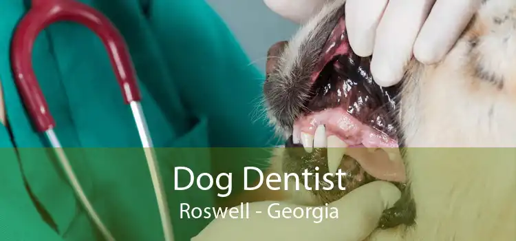 Dog Dentist Roswell - Georgia