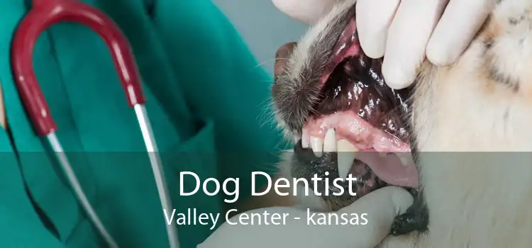 Dog Dentist Valley Center - kansas