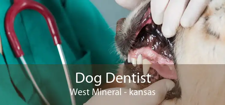 Dog Dentist West Mineral - kansas