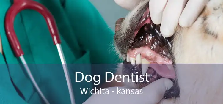 Dog Dentist Wichita - kansas