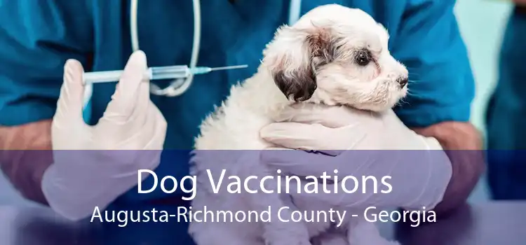 Dog Vaccinations Augusta-Richmond County - Georgia
