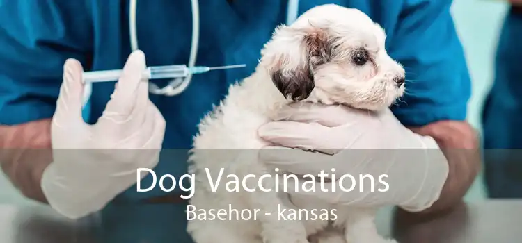 Dog Vaccinations Basehor - kansas