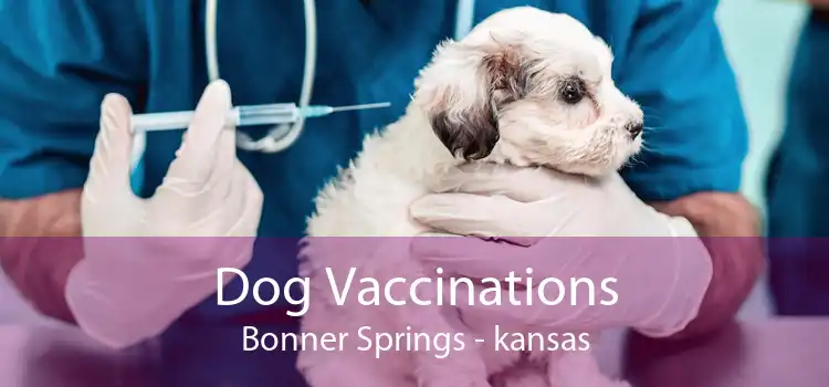 Dog Vaccinations Bonner Springs - kansas