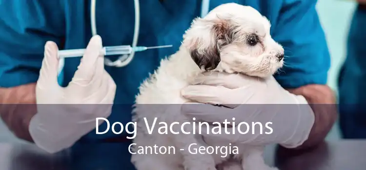 Dog Vaccinations Canton - Georgia